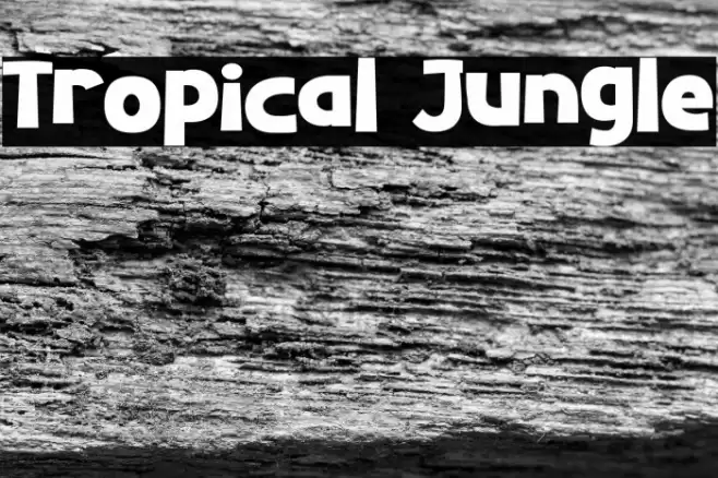 Tropical Jungle Font examples