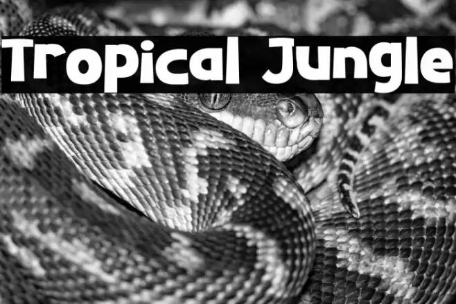 Tropical Jungle Font examples