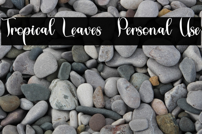 Tropical Leaves - Personal Use Example 2