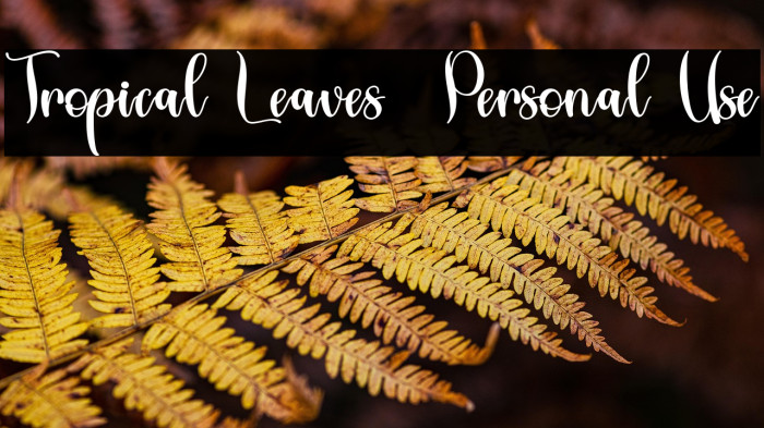 Tropical Leaves - Personal Use Example 3