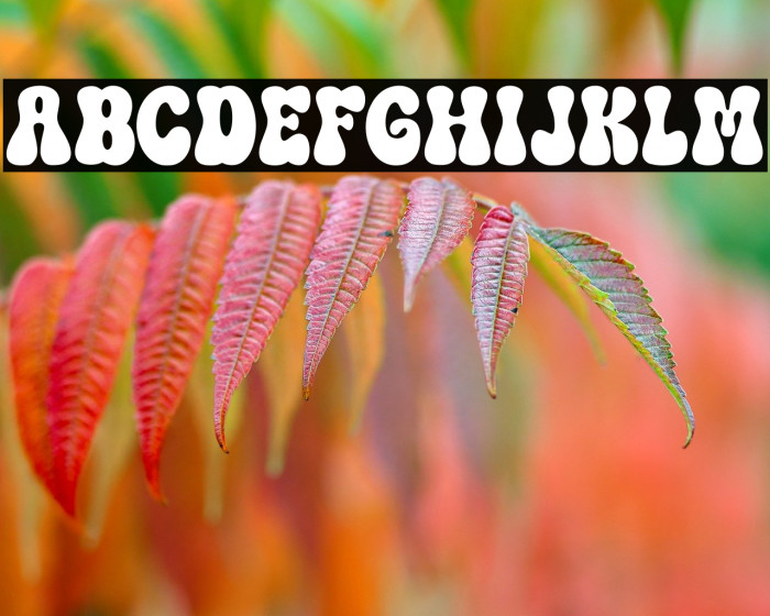 Tropical Leaves Regular Example 1