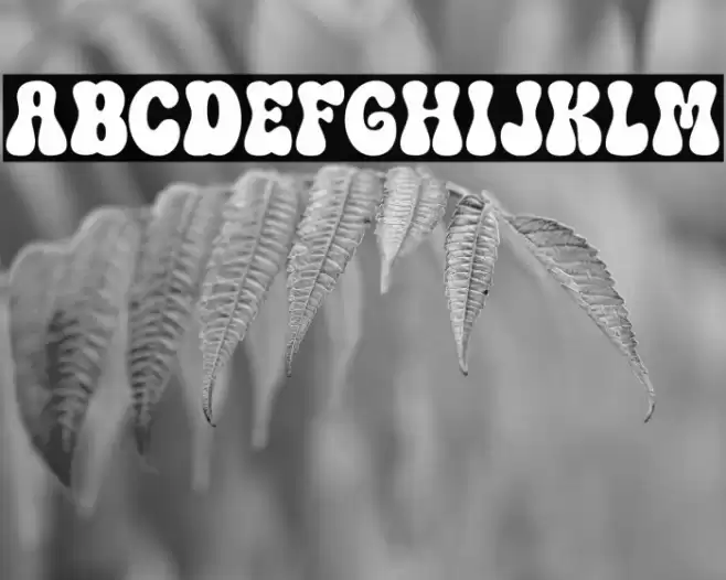 Tropical Leaves Regular 字体 examples