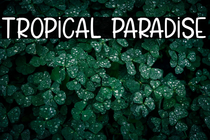 Tropical Paradise Example 1