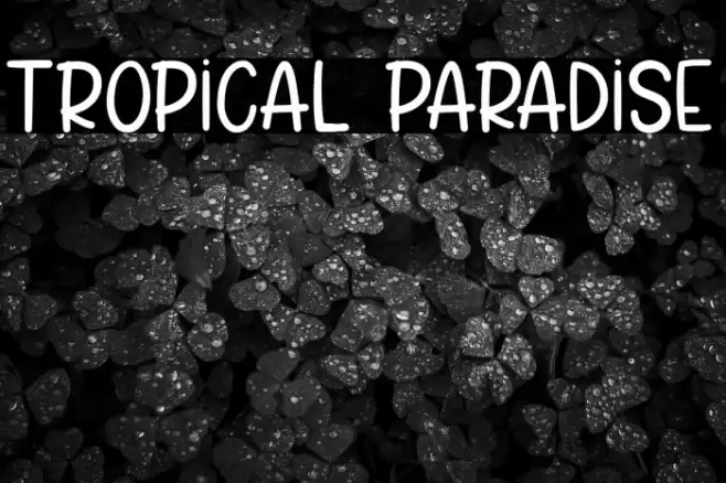 Tropical Paradise Font examples