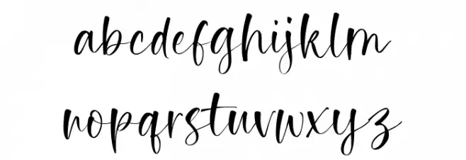 Tropical Romance Font LOWERCASE