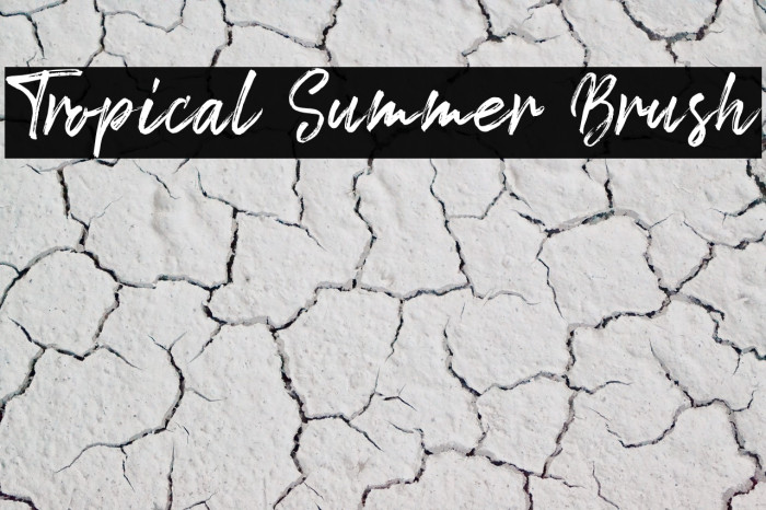 Tropical Summer Brush Font examples