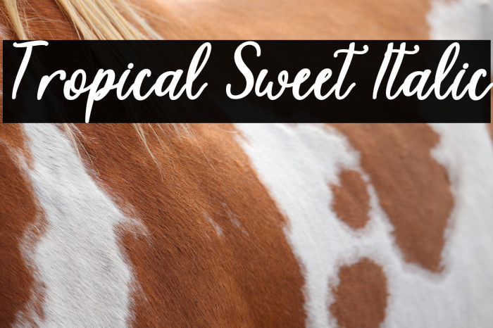 Tropical Sweet Italic Example 1
