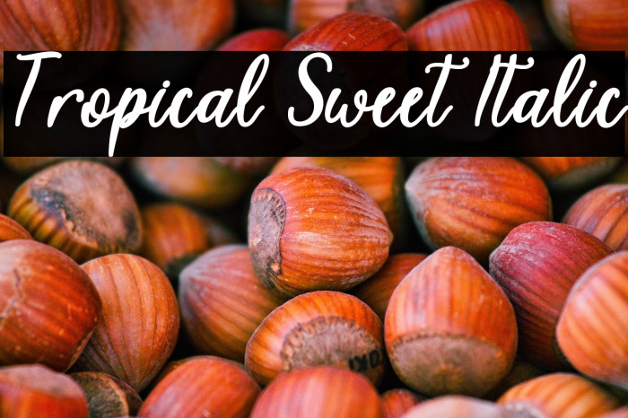 Tropical Sweet Italic Example 2