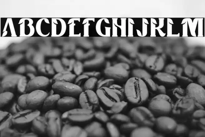 Tropical Taste Demo 字体 examples