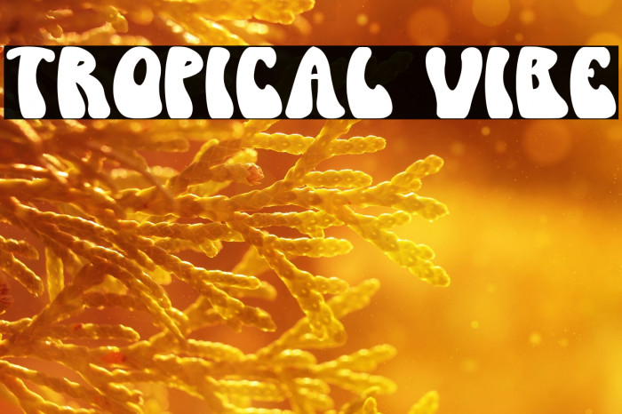 Tropical Vibe Example 2