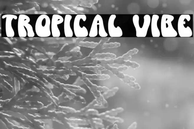 Tropical Vibe Font examples