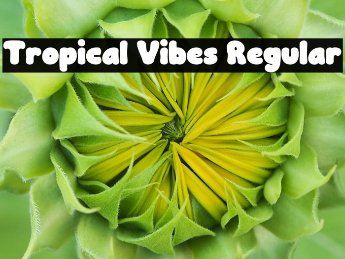 Tropical Vibes Regular Example 1