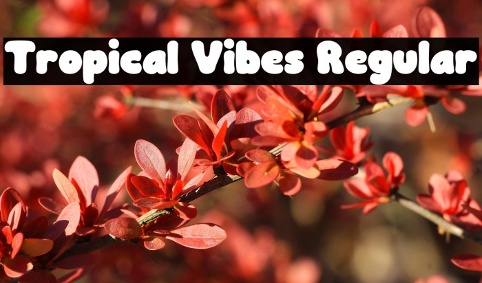 Tropical Vibes Regular Example 3