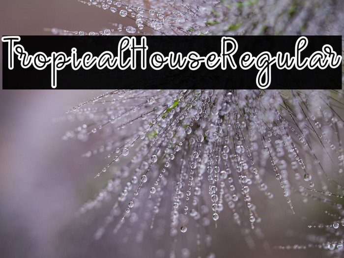 TropicalHouseRegular Example 2