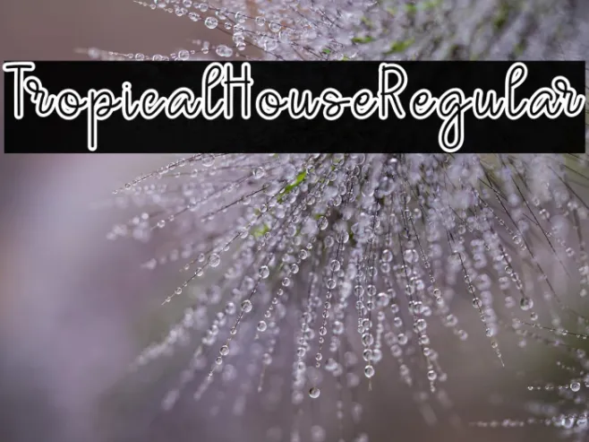 TropicalHouseRegular Example 2