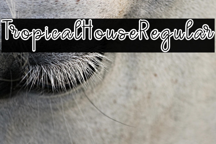 TropicalHouseRegular Example 3