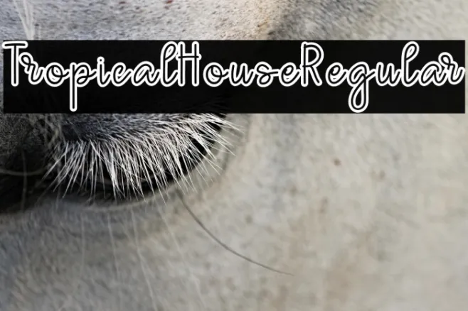 TropicalHouseRegular Example 3