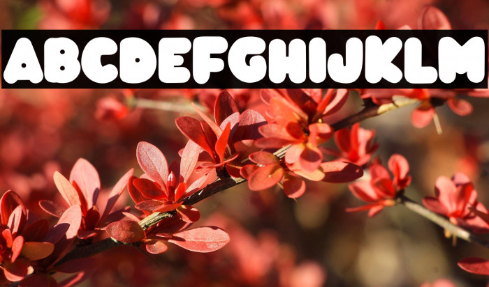 TropicalLoveRegular Example 1