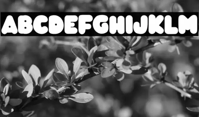 TropicalLoveRegular Font examples