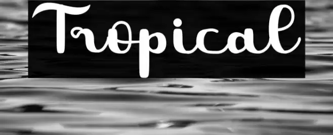 Tropical Font examples