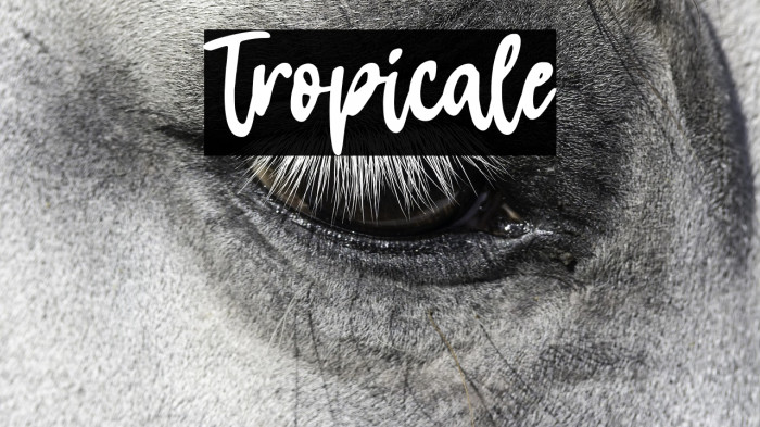 Tropicale Example 1