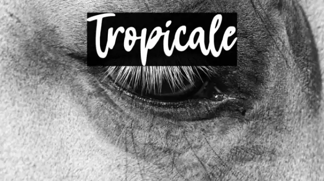 Tropicale Font examples