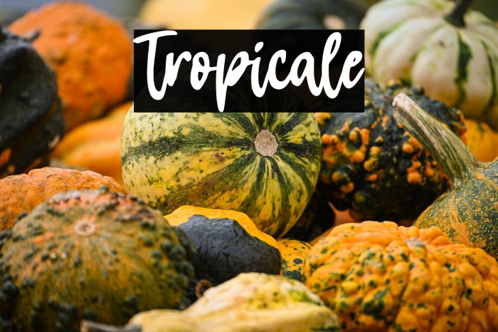 Tropicale Example 3