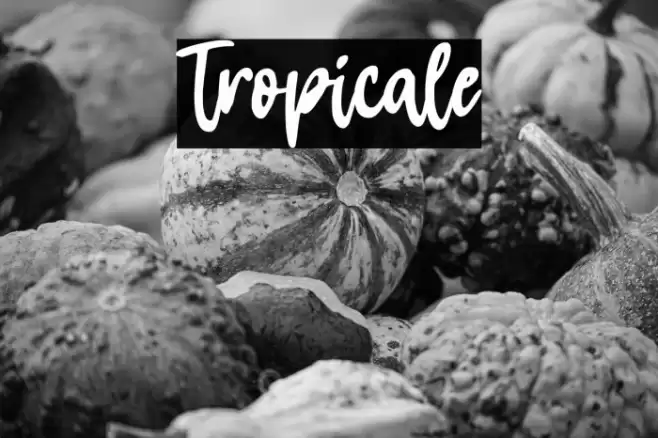 Tropicale Font examples