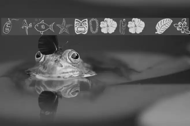 Tropicana BV フォント examples