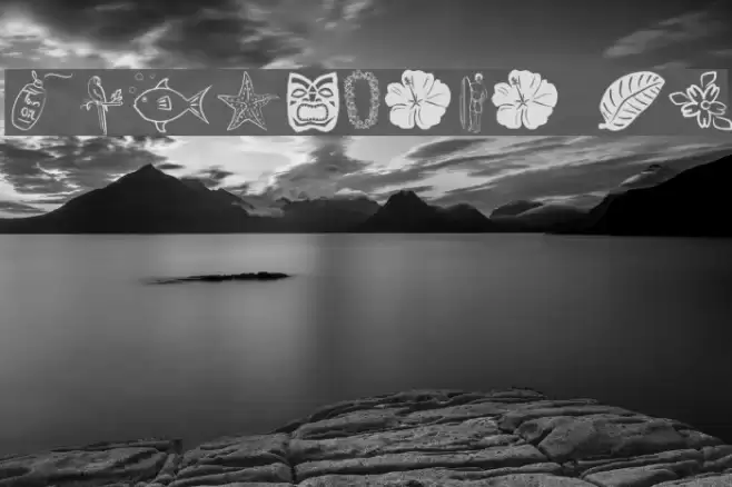 Tropicana BV フォント examples