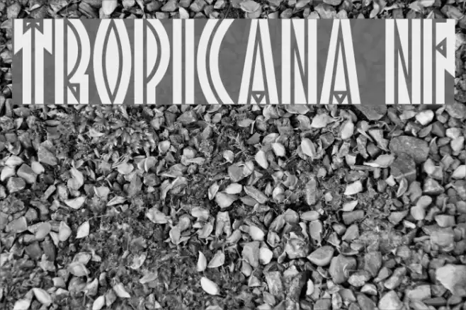 Tropicana NF Font examples