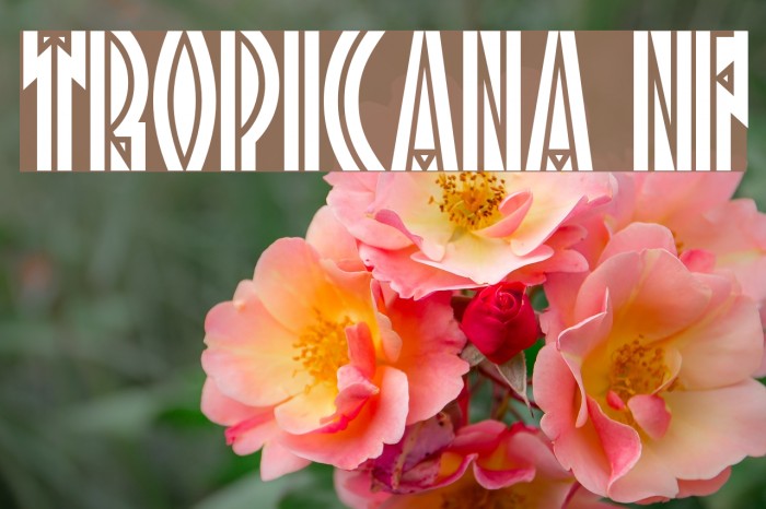 Tropicana NF Font examples