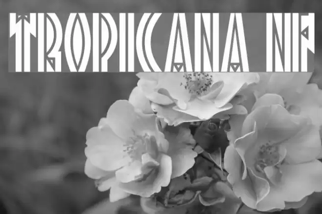 Tropicana NF Font examples