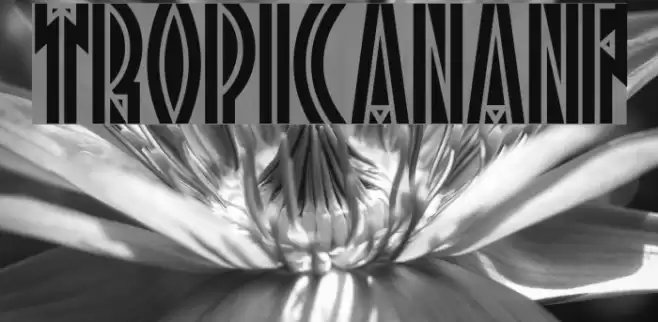 TropicanaNF Font examples