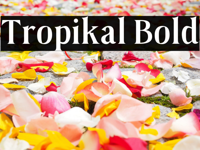 Tropikal Bold Example 1