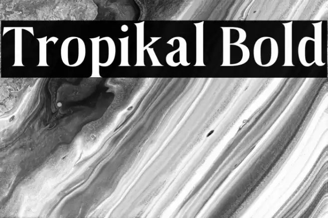 Tropikal Bold フォント examples