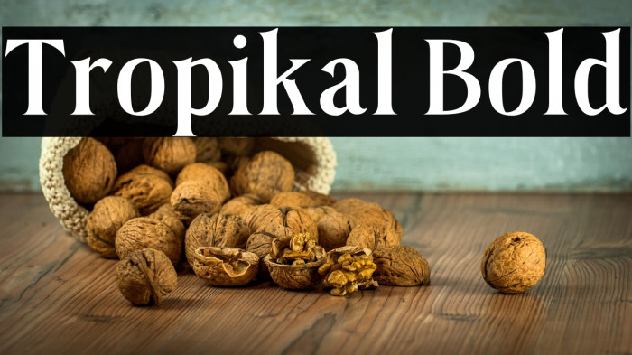 Tropikal Bold Example 3