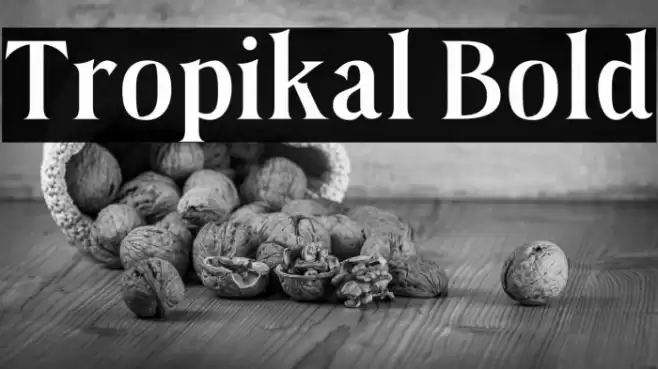 Tropikal Bold フォント examples