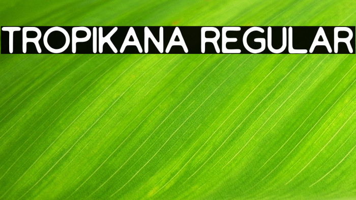 Tropikana Regular Example 3