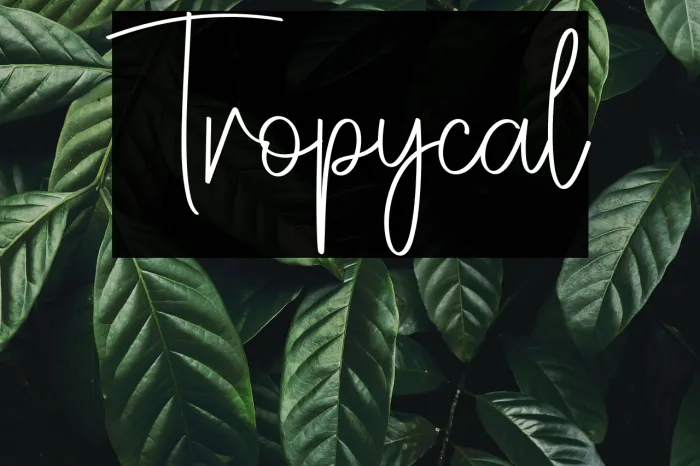 Tropycal Example 1