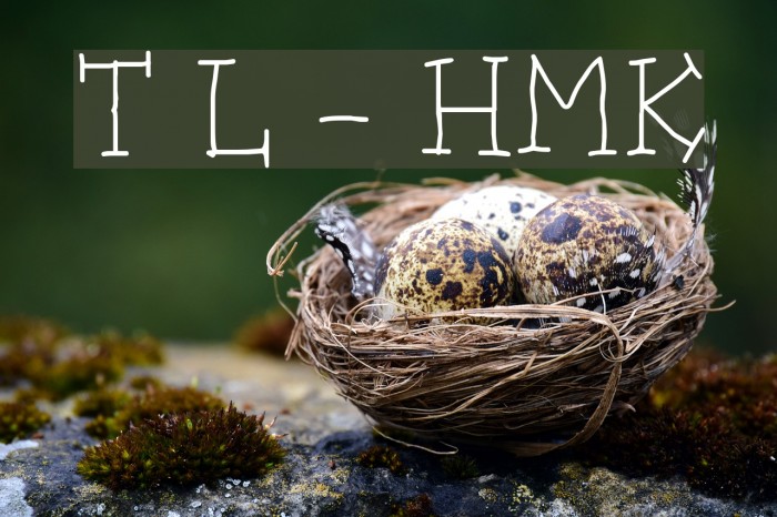 Trots Light - HMK Font examples