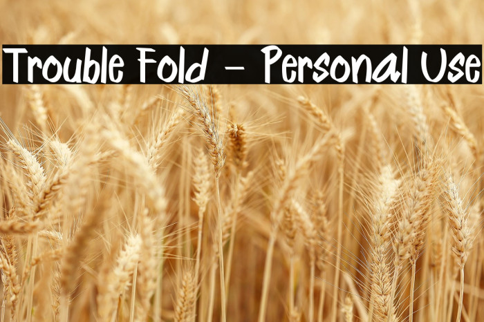 Trouble Fold - Personal Use Example 1