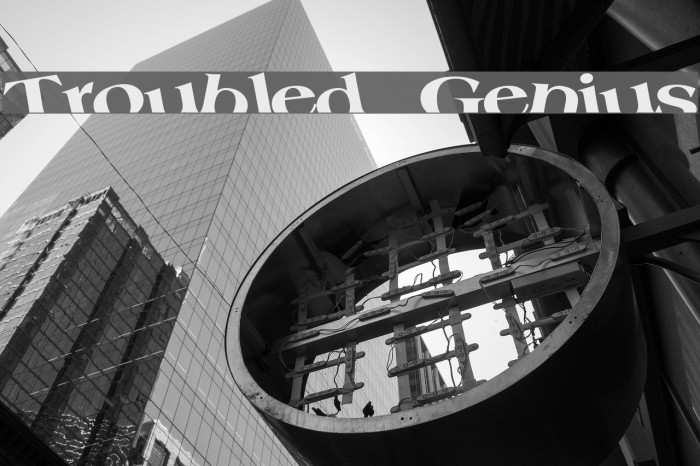 Troubled Genius Font examples