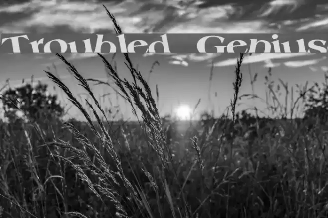 Troubled Genius Font examples