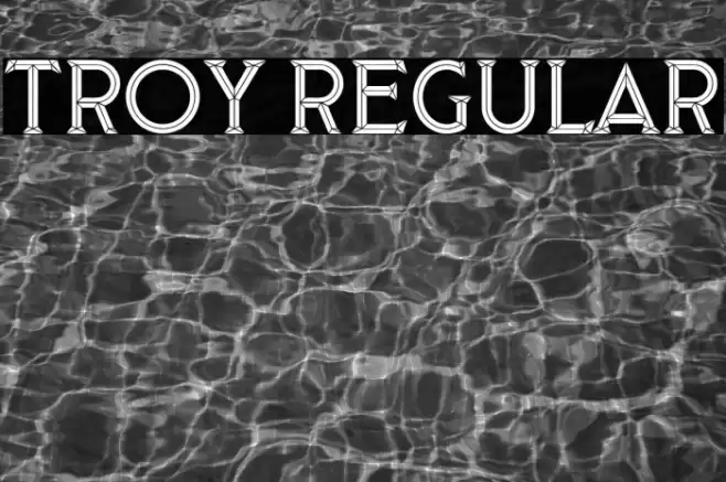 Troy Regular Font examples