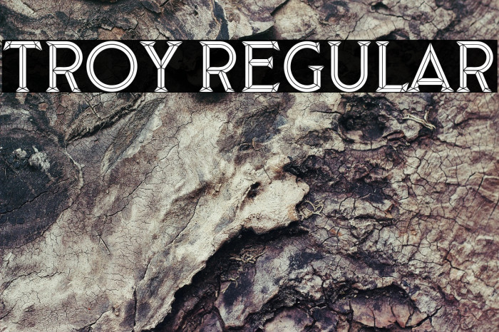 Troy Regular Example 2