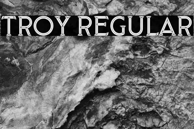 Troy Regular Font examples