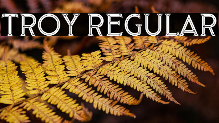 Troy Regular Example 3