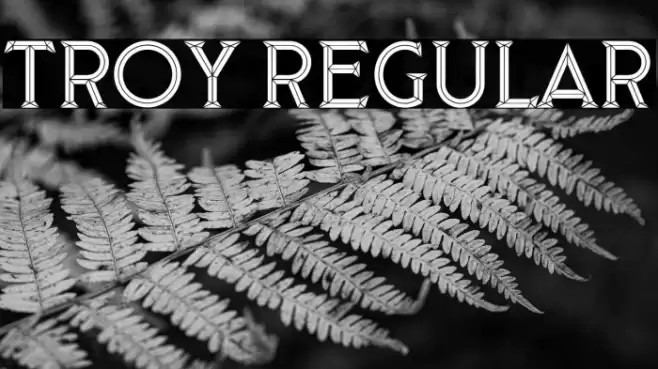 Troy Regular Font examples
