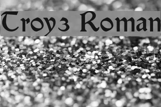 Troy3 Roman Polices examples